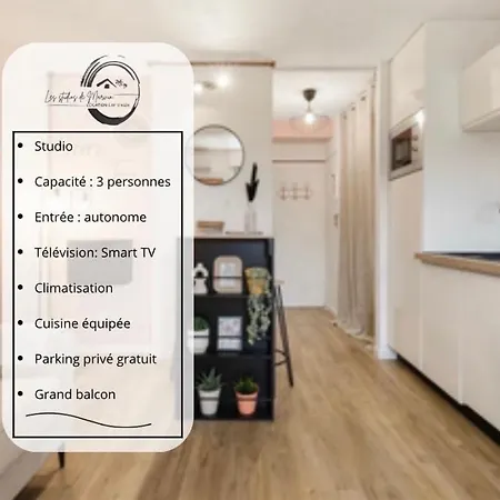 La Perle -appartement Cosy Parking Avec Balcon &clim * Agde